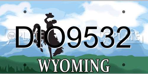 DIO9532 Wyoming License Plate