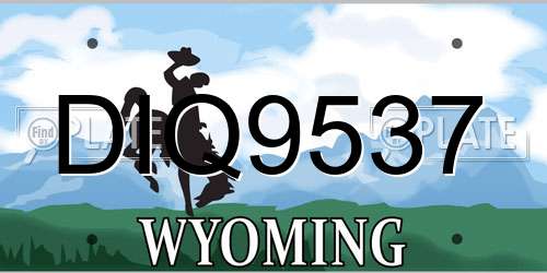 DIQ9537 Wyoming License Plate