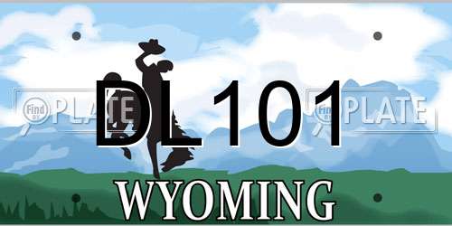 DL101 Wyoming License Plate