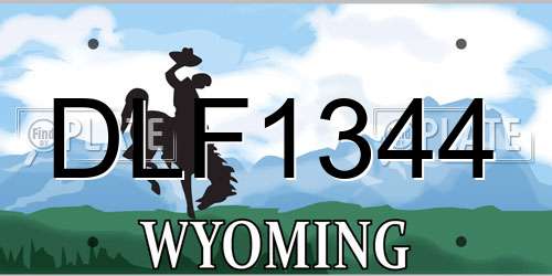 DLF1344 Wyoming License Plate