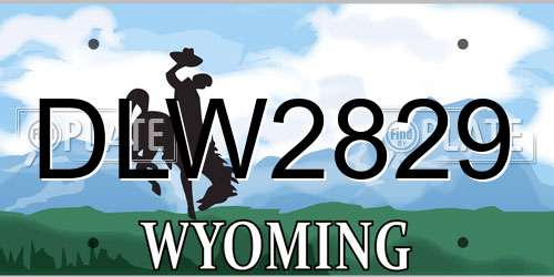 DLW2829 Wyoming License Plate