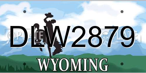 DLW2879 Wyoming License Plate