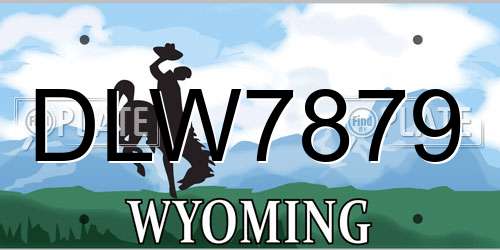 DLW7879 Wyoming License Plate
