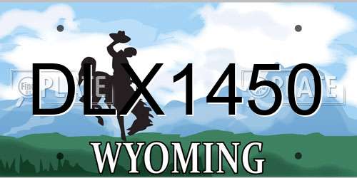 DLX1450 Wyoming License Plate