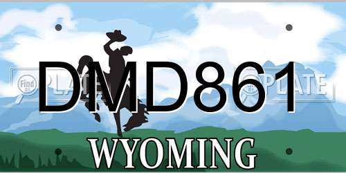 DMD861 Wyoming License Plate