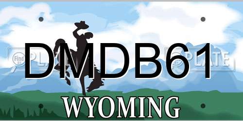 DMDB61 Wyoming License Plate