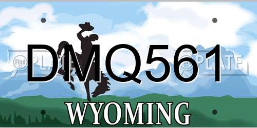 DMQ561 Wyoming License Plate