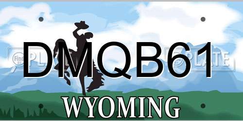 DMQB61 Wyoming License Plate