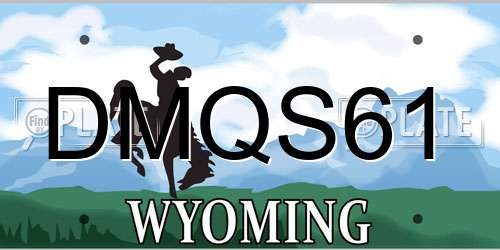 DMQS61 Wyoming License Plate