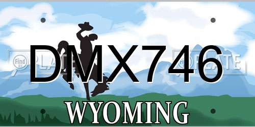 DMX746 Wyoming License Plate