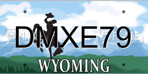 DMXE79 Wyoming License Plate