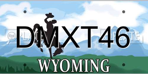 DMXT46 Wyoming License Plate