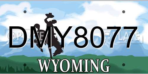 DMY8077 Wyoming License Plate