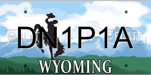 DN1P1A Wyoming License Plate