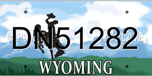DN51282 Wyoming License Plate
