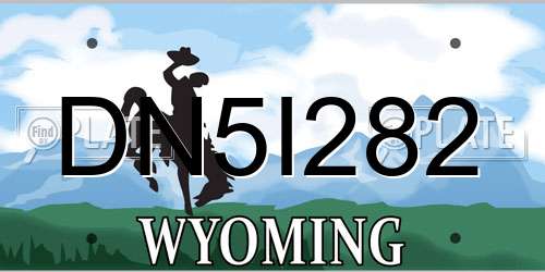 DN5I282 Wyoming License Plate