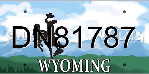 DN81787 Wyoming License Plate