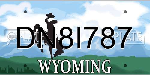 DN8I787 Wyoming License Plate