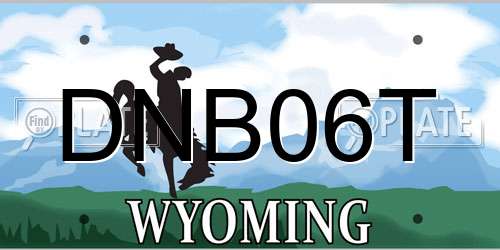 DNB06T Wyoming License Plate