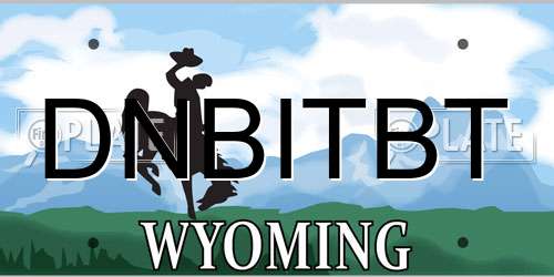 DNBITBT Wyoming License Plate