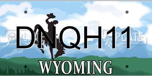 DNQH11 Wyoming License Plate