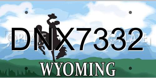 DNX7332 Wyoming License Plate