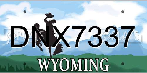 DNX7337 Wyoming License Plate