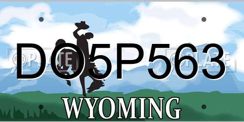 DO5P563 Wyoming License Plate