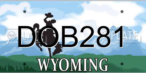 DOB281 Wyoming License Plate