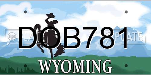DOB781 Wyoming License Plate