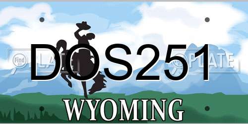 DOS251 Wyoming License Plate