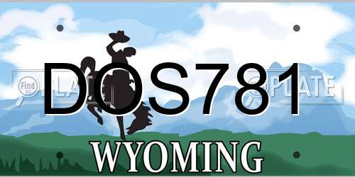 DOS781 Wyoming License Plate