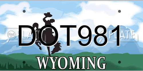 DOT981 Wyoming License Plate
