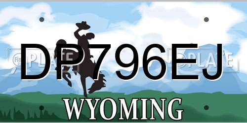 DP796EJ Wyoming License Plate