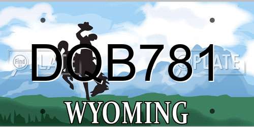 DQB781 Wyoming License Plate