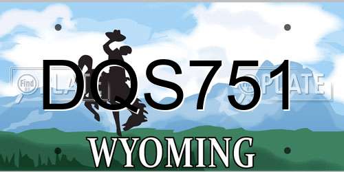 DQS751 Wyoming License Plate