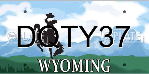 DQTY37 Wyoming License Plate