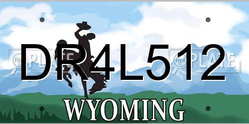 DR4L512 Wyoming License Plate