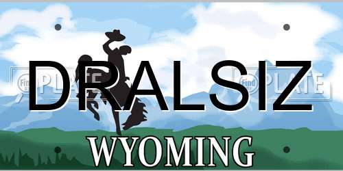 DRALSIZ Wyoming License Plate