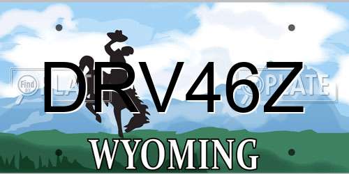 DRV46Z Wyoming License Plate