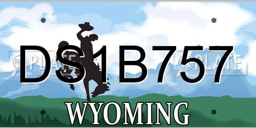 DS1B757 Wyoming License Plate