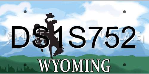 DS1S752 Wyoming License Plate