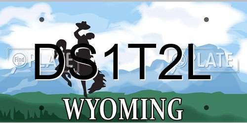 DS1T2L Wyoming License Plate