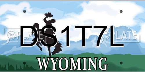 DS1T7L Wyoming License Plate