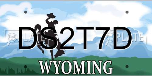 DS2T7D Wyoming License Plate