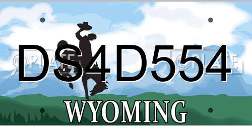 DS4D554 Wyoming License Plate