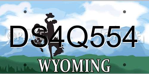 DS4Q554 Wyoming License Plate