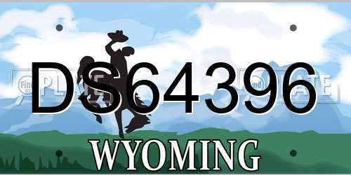 DS64396 Wyoming License Plate
