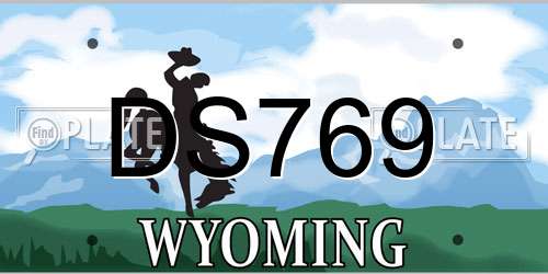 DS769 Wyoming License Plate