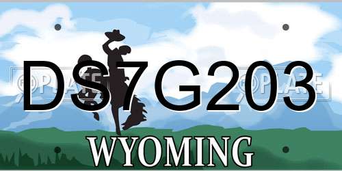 DS7G203 Wyoming License Plate